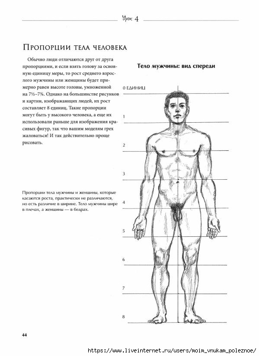 7_urokov_prostykh_urokov_risovania_Sekrety_mastera_45 (508x700, 128Kb)