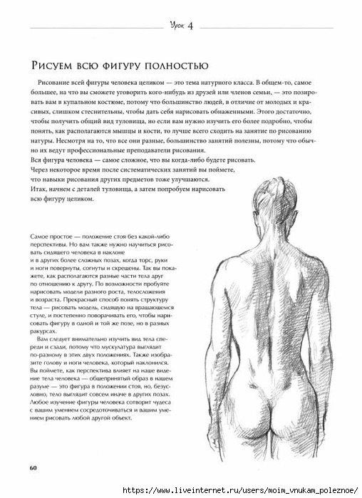 7_urokov_prostykh_urokov_risovania_Sekrety_mastera_61 (508x700, 203Kb)