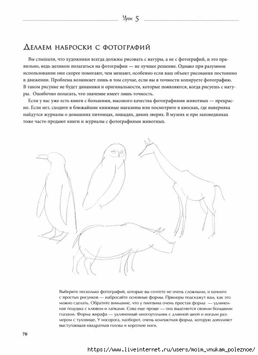 7_urokov_prostykh_urokov_risovania_Sekrety_mastera_71 (508x700, 141Kb)
