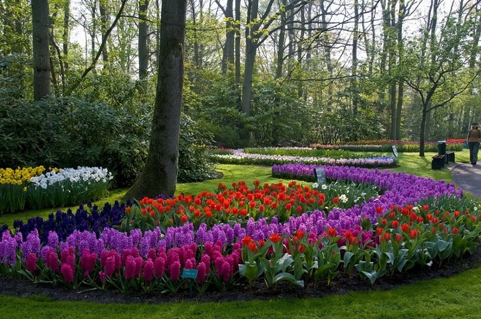 2627134_20Park_cvetov_Kyokenkof_v_Gollandii (700x464, 197Kb)