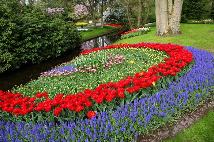 2627134_23Park_cvetov_Keikenkof_v_Gollandii (700x465, 214Kb)