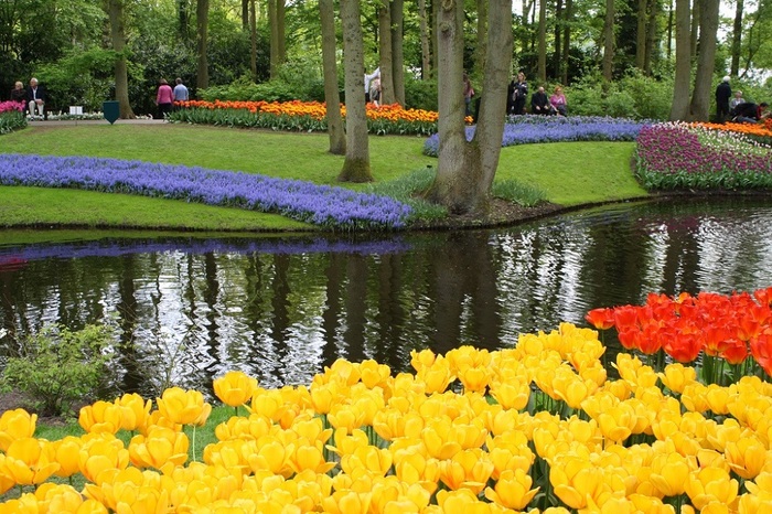 2627134_14Park_cvetov_Kyokenkof_v_Gollandii (700x466, 185Kb)