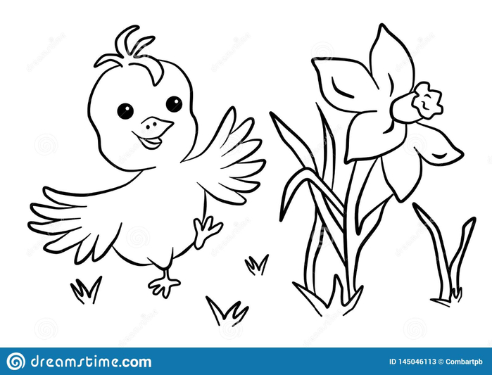easter-coloring-book-happy-chick-flower-daffodil-black-white-vector-illustration-perfect-kids-145046113 (700x533, 126Kb)