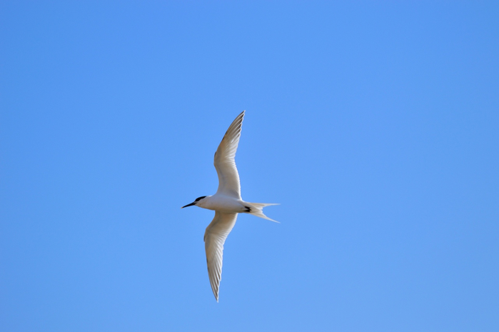 3 (700x465, 158Kb)