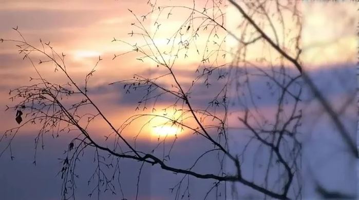 7304823_Rassvet (700x391, 40Kb)
