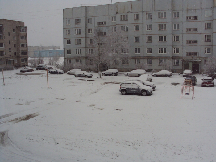 DSC02869 (700x525, 239Kb)