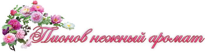 oie_140753VIcaZsg7 (700x184, 117Kb)