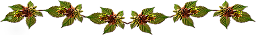 0_de64e_f2c0f355_orig (500x70, 61Kb)