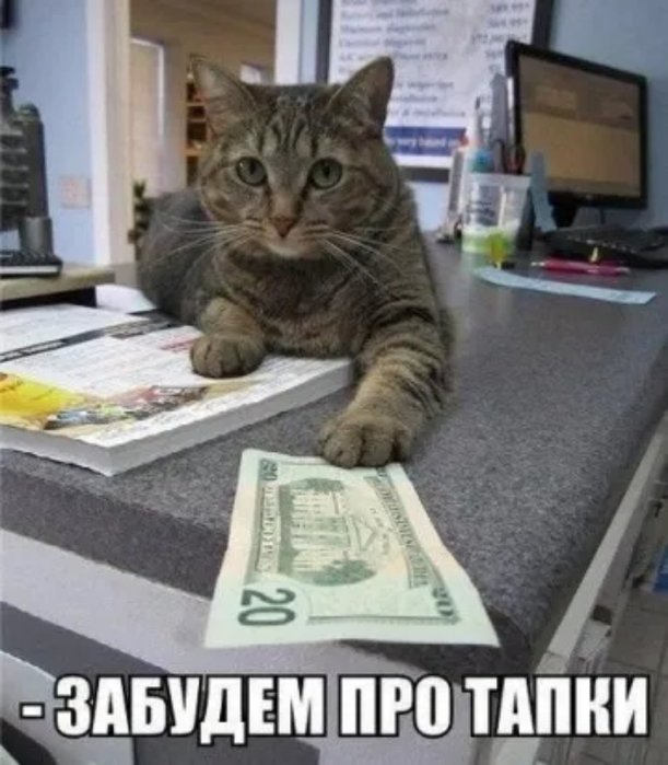 кот с долларом (611x700, 70Kb)