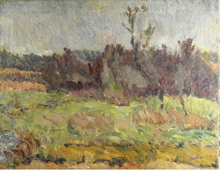 1950-е Подмосковье. Х, м. 51 х 65 см. Квлуга ХМ (700x543, 175Kb)