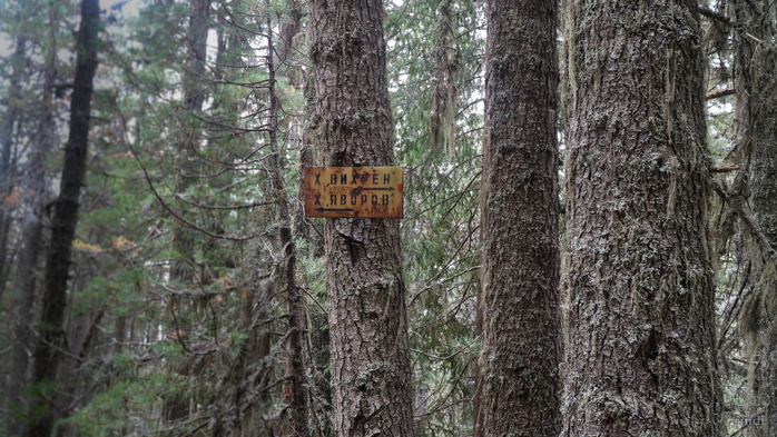 IMG_1009 (700x393, 382Kb)