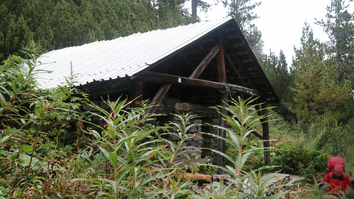 IMG_1101 (700x393, 404Kb)