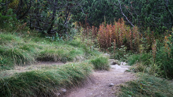 IMG_1105 (700x393, 461Kb)