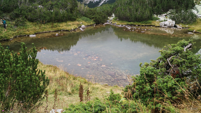 IMG_1117 (700x393, 446Kb)
