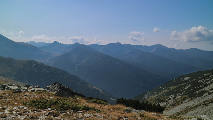 IMG_1141 (700x393, 261Kb)