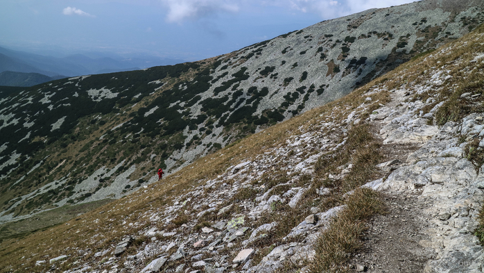 IMG_1152 (700x393, 400Kb)