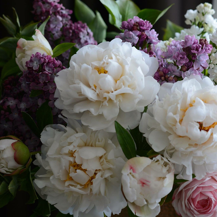 фарфоровые цветы Олеси Галущенко 21 (700x700, 499Kb)