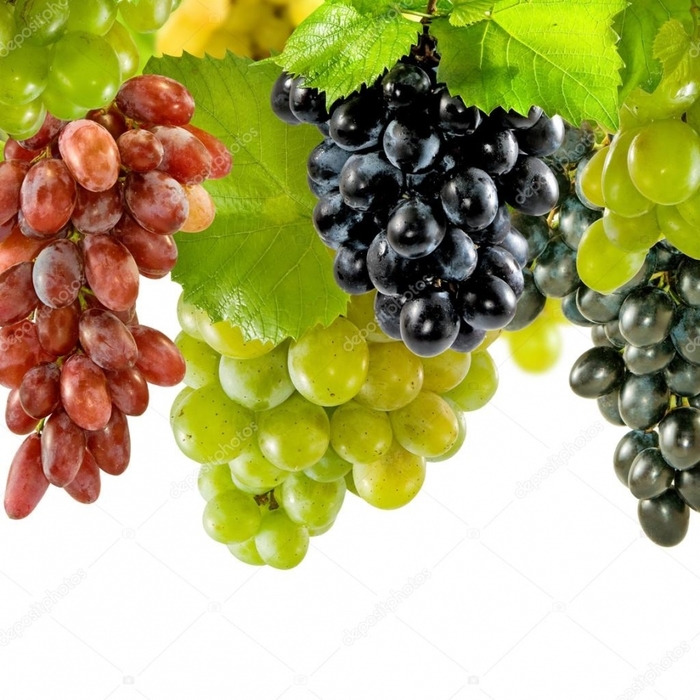 Что мы знаем о винограде...