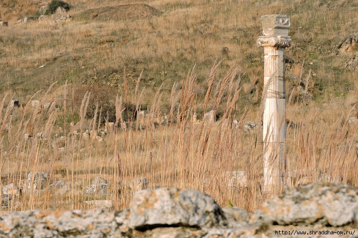 , Pamukkale, Hierapolis, , Shraddhatravel, 2020 (35) (700x466, 359Kb)