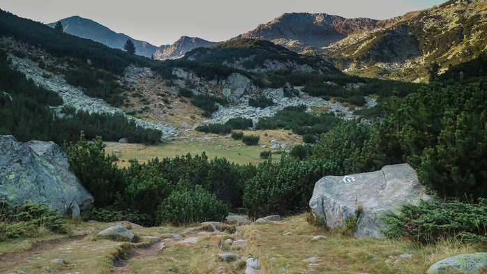 IMG_1279 (700x393, 381Kb)