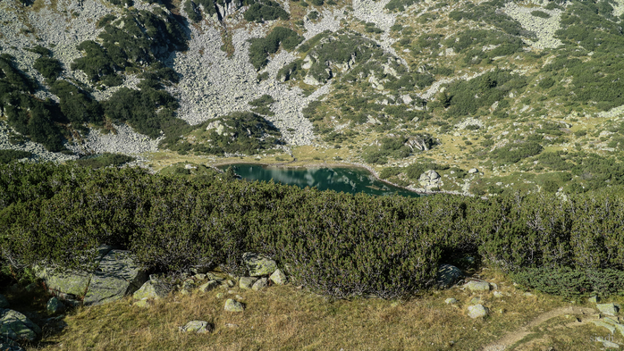 IMG_1283 (700x393, 482Kb)