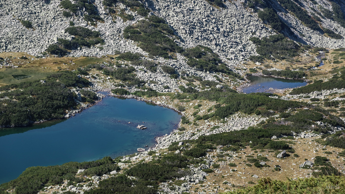 IMG_1301 (700x393, 447Kb)