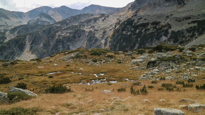IMG_1319 (700x393, 385Kb)