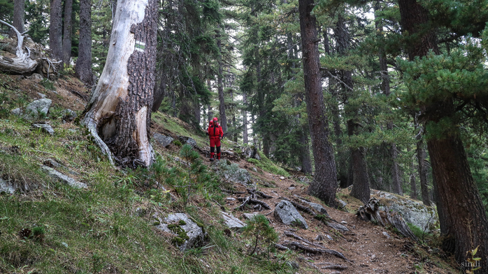 IMG_1356 (700x393, 444Kb)