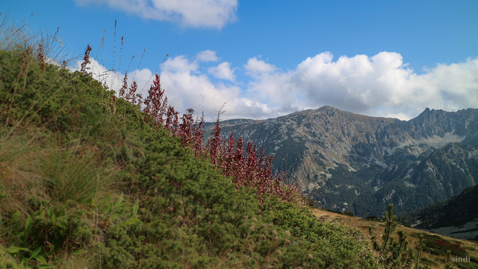 IMG_1328 (700x393, 366Kb)