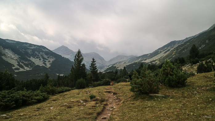 IMG_1389 (700x393, 280Kb)