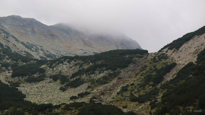 IMG_1418 (700x393, 269Kb)