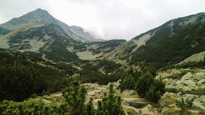 IMG_1423 (700x393, 345Kb)