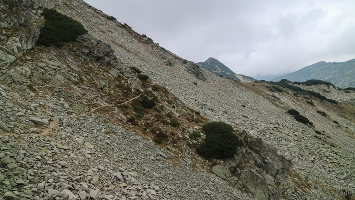 IMG_1444 (700x393, 355Kb)