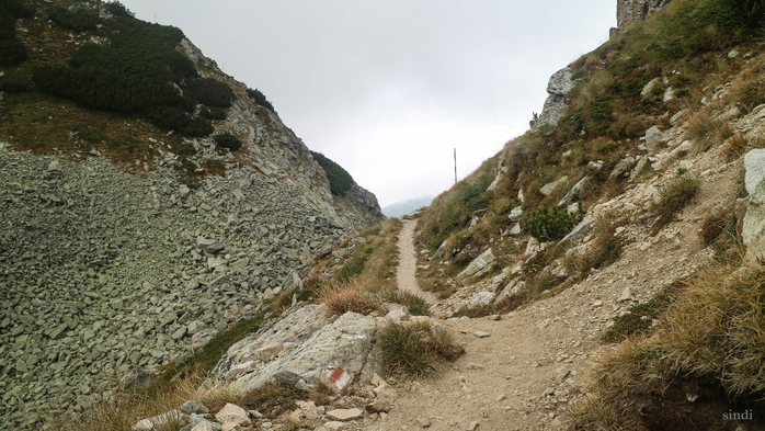 IMG_1450 (700x393, 364Kb)