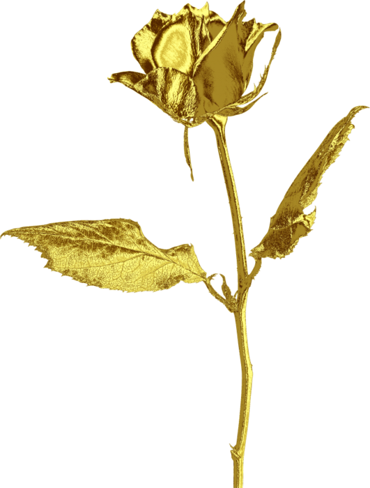4565946_zolotoi_cvetok (531x700, 208Kb)