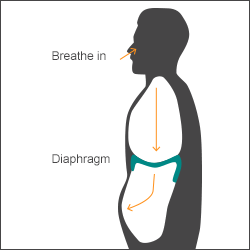 2835299_content_Diaphragmatic_breathing3 (250x250, 11Kb)
