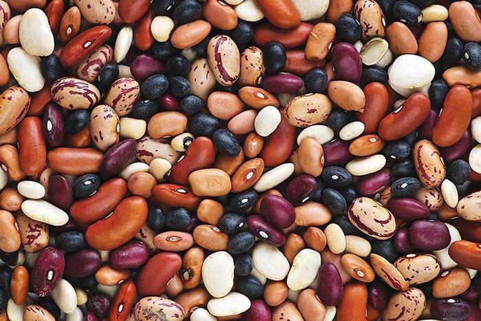 history-of-beans-main-min (700x466, 86Kb)