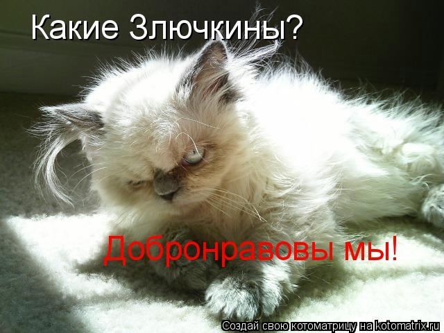 5402287_1398454123_www_radionetplus_ru9 (640x480, 60Kb)