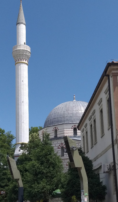 20210617_144546 (409x700, 241Kb)
