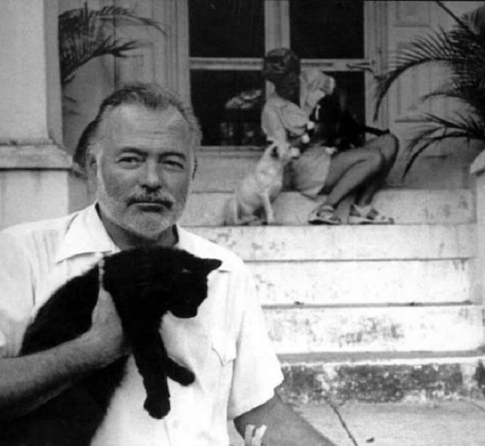 ernest-hemingway-and-cats-10 (700x644, 169Kb)
