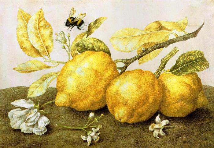 Художница Джованна Гарцони (700x486, 72Kb)
