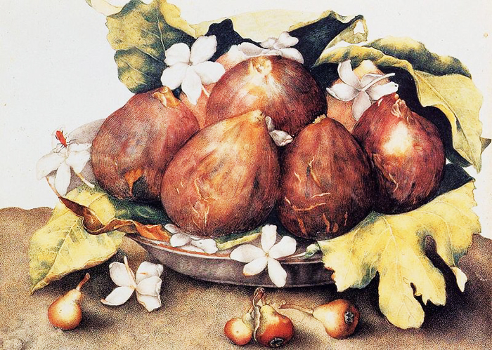 800px-Giovanna_Garzoni_-_Figs_-_WGA8492 (700x499, 446Kb)