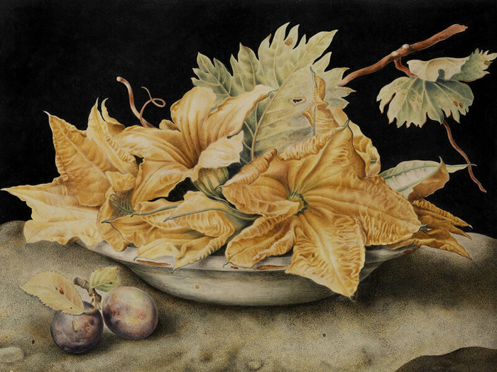 Giovanna_garzoni_01 (700x524, 350Kb)