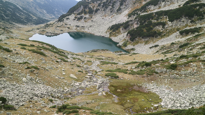 IMG_1508 (700x393, 442Kb)