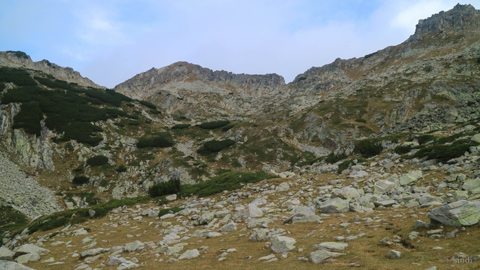 IMG_1514 (700x393, 358Kb)