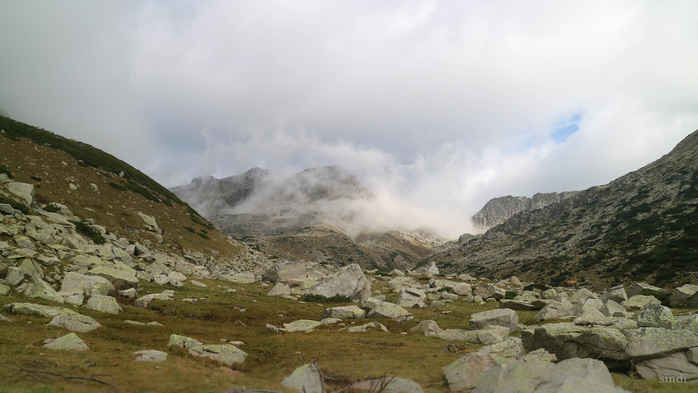 IMG_1525 (700x393, 267Kb)