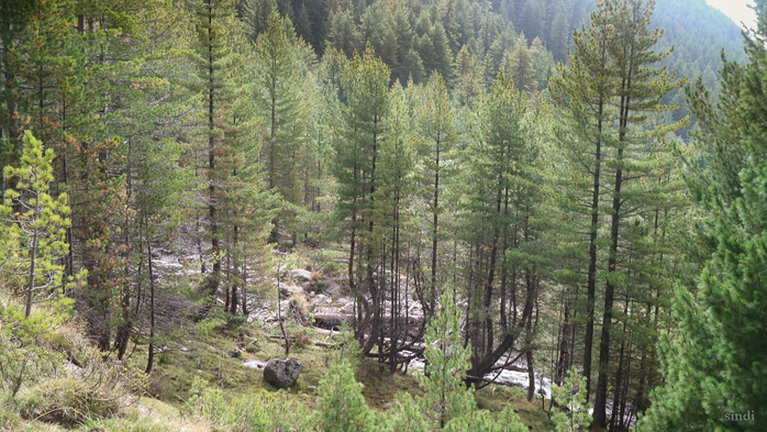 IMG_1538 (700x393, 463Kb)
