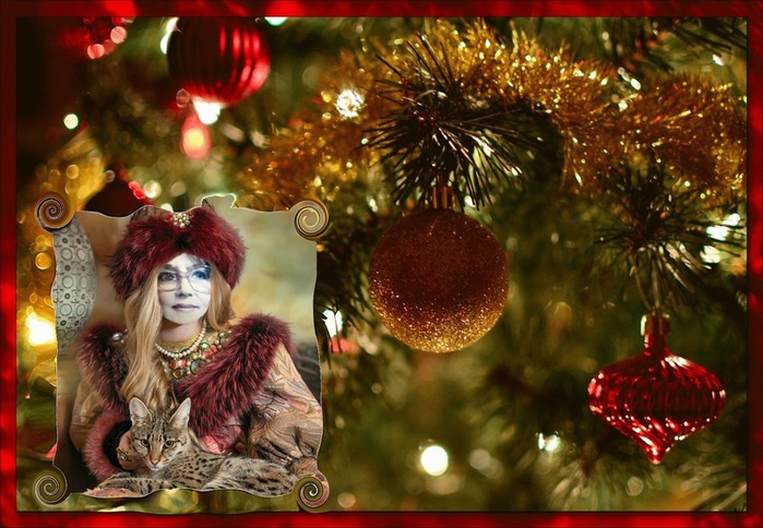 viptalisman_87892 (1) (700x484, 117Kb)