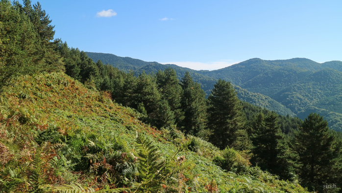 IMG_1618 (700x393, 397Kb)