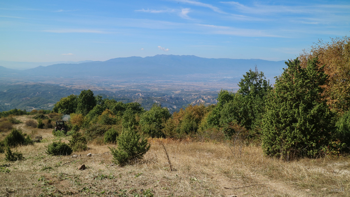 IMG_1625 (700x393, 379Kb)
